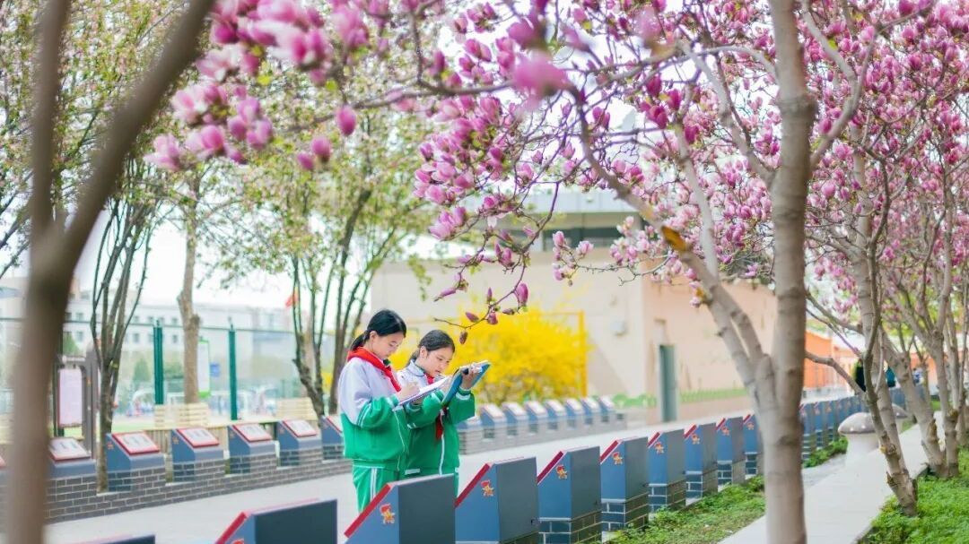 房山区青少年阅读案例获评2025年全国青少年学生读书行动区域优秀案例