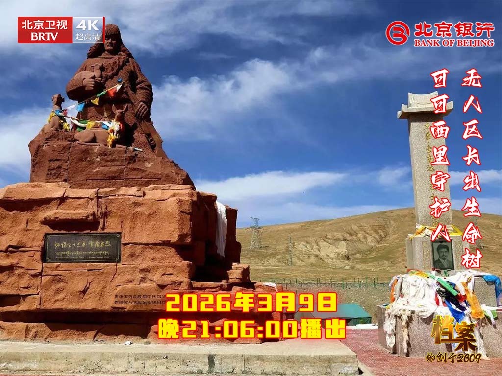 无人区长出生命树 可可西里守护人