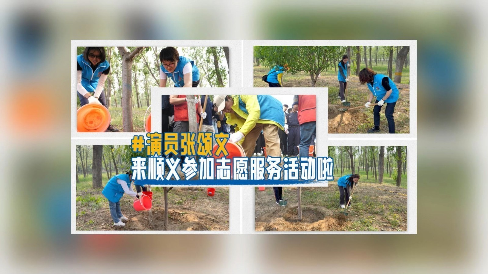 顺义好风气 最美志愿者 | 演员张颂文来顺义参加志愿服务活动啦！