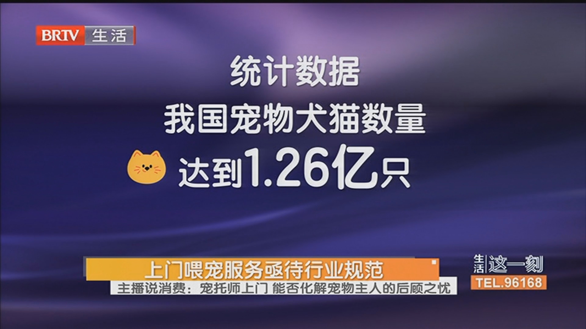 上门喂宠服务亟待行业规范 主播说消费：宠托师上门 能否化解宠物主人的后顾之忧