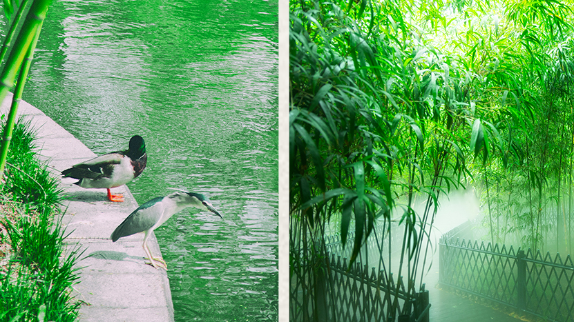 海淀没有海，但有你想要的全部星辰大海