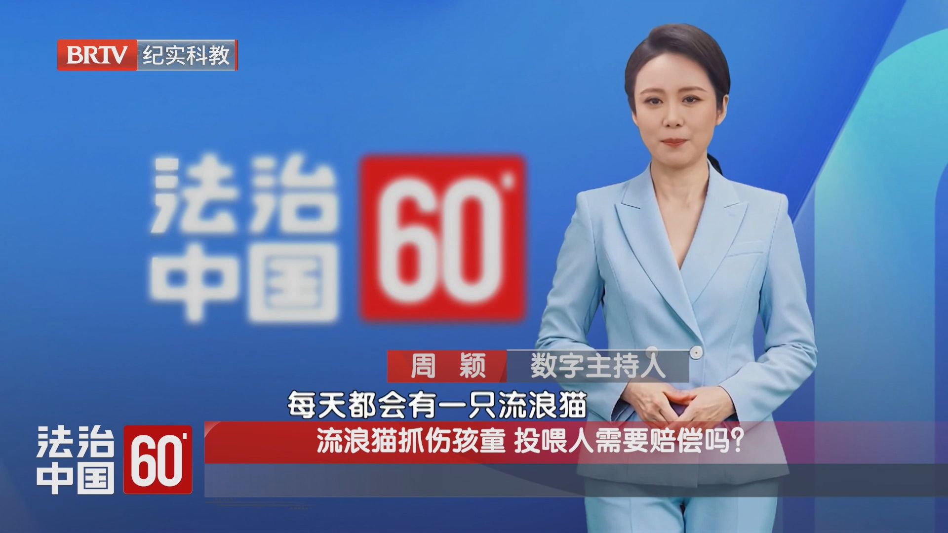 流浪猫抓伤孩童 投喂人需要赔偿吗？