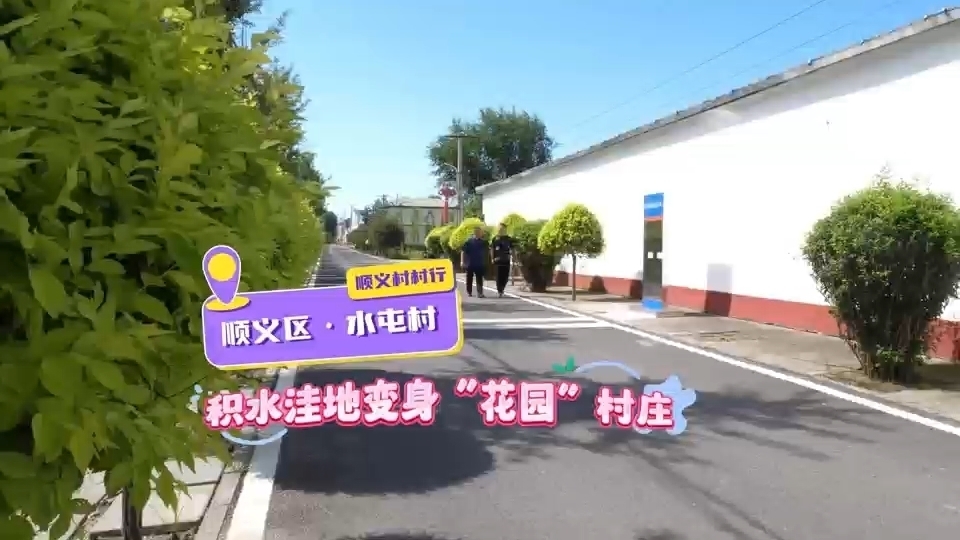 南彩镇水屯村明代成村,如今的水屯村,干净整洁的街道两旁绿树成荫 南彩镇水屯村明代成村,如今的水屯村,干净整洁的街道两旁绿树成荫