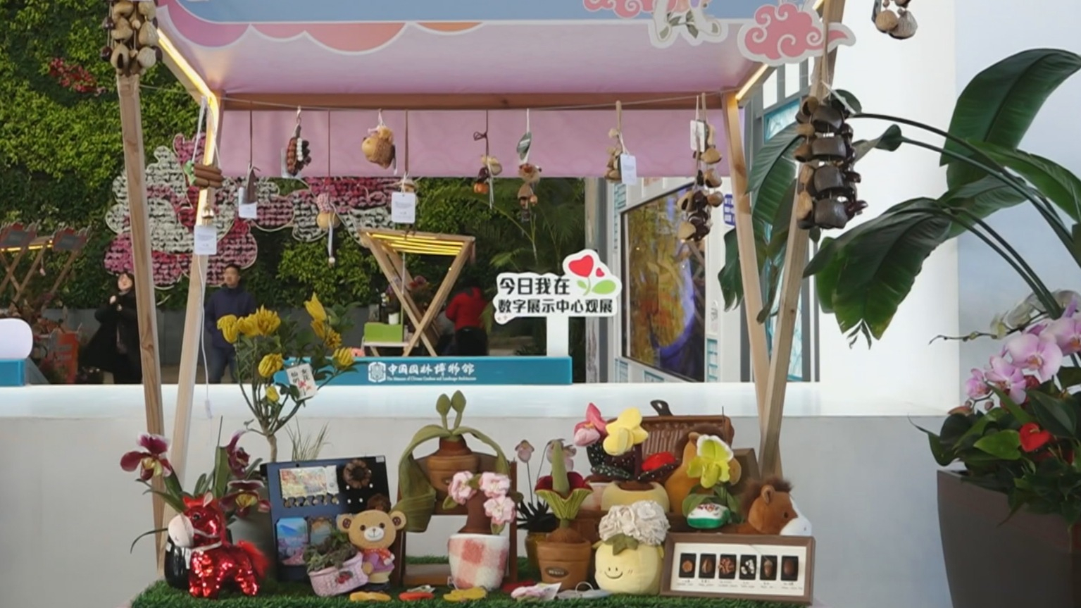 “一季繁花满城春”2026北京家庭园艺嘉年华元旦启幕