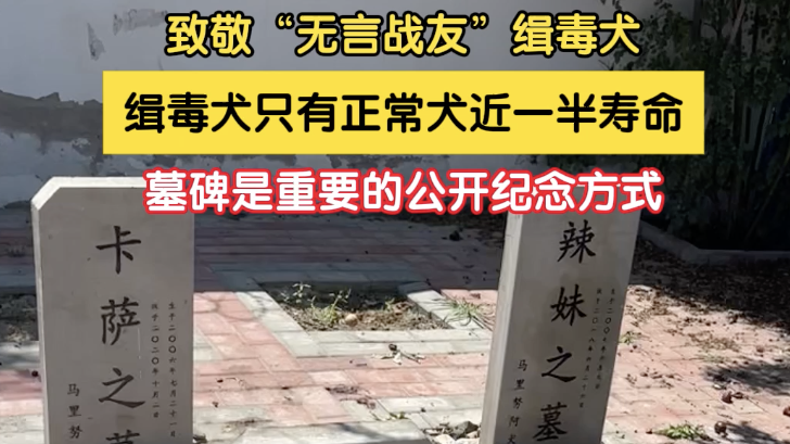 致敬“无言战友”缉毒犬