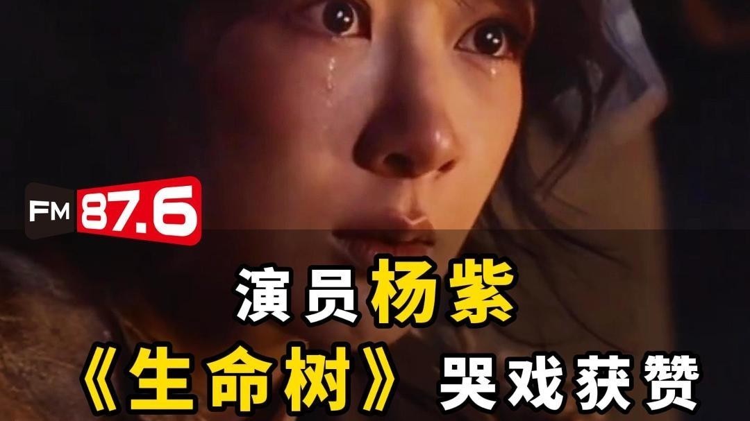 演员杨紫在电视剧《生命树》中的哭戏获赞