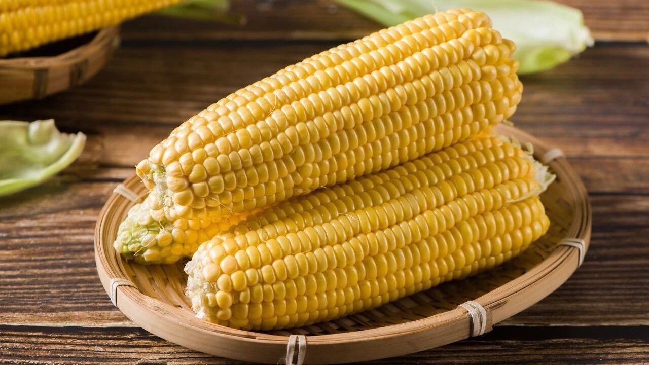 玉米最营养的部位,竟然是它!但很多人都浪费了 玉米最营养的部位,竟然是它!但很多人都浪费了