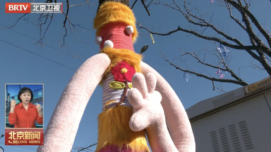 新年，北京这些景点的大树也穿上了“新衣”！