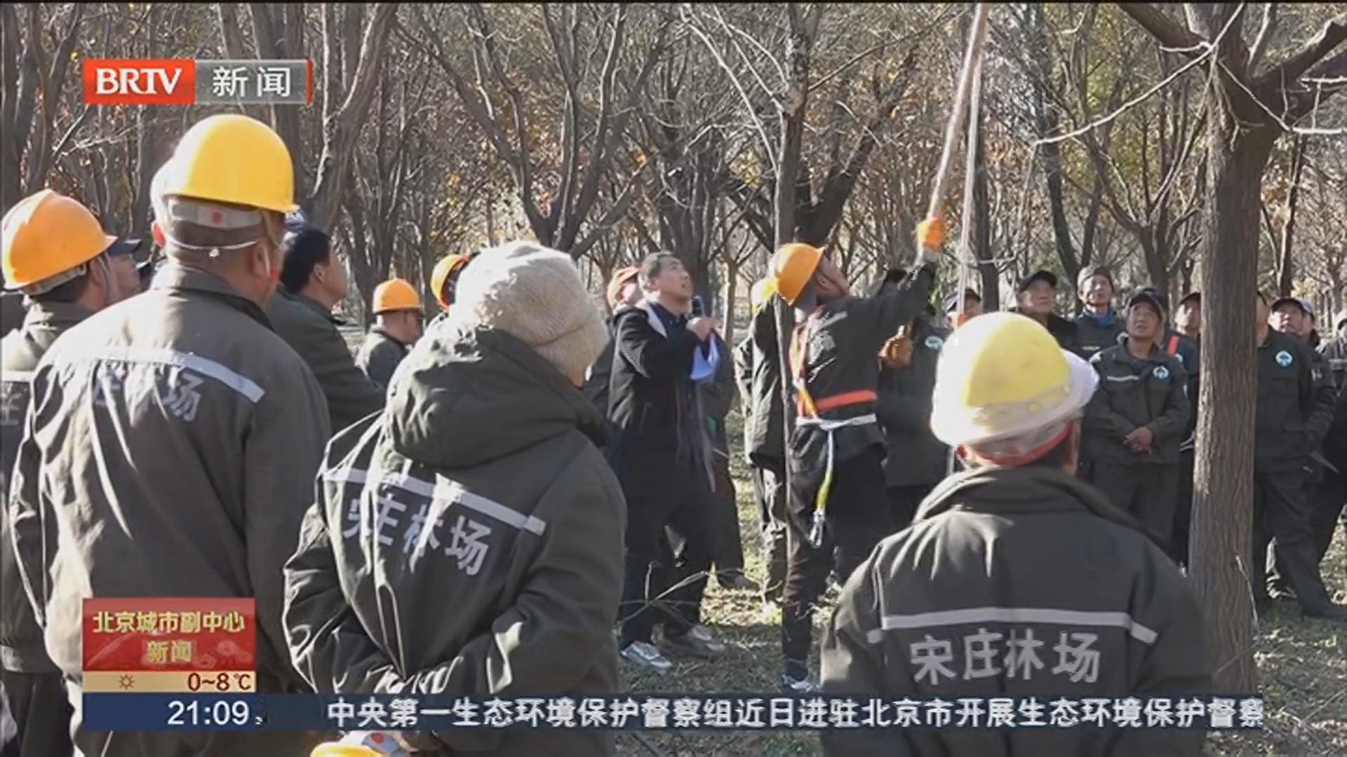 城市副中心园林人竞技“金剪子” 冬季修剪练精兵