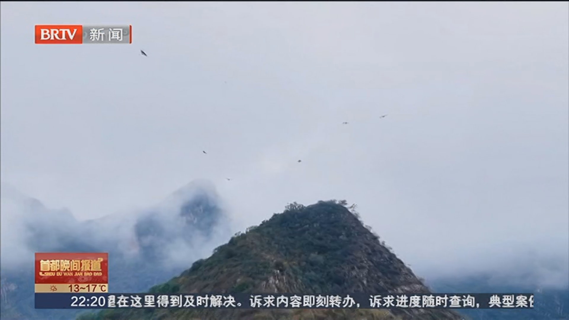 北京雨后鵟属猛禽列队盘山