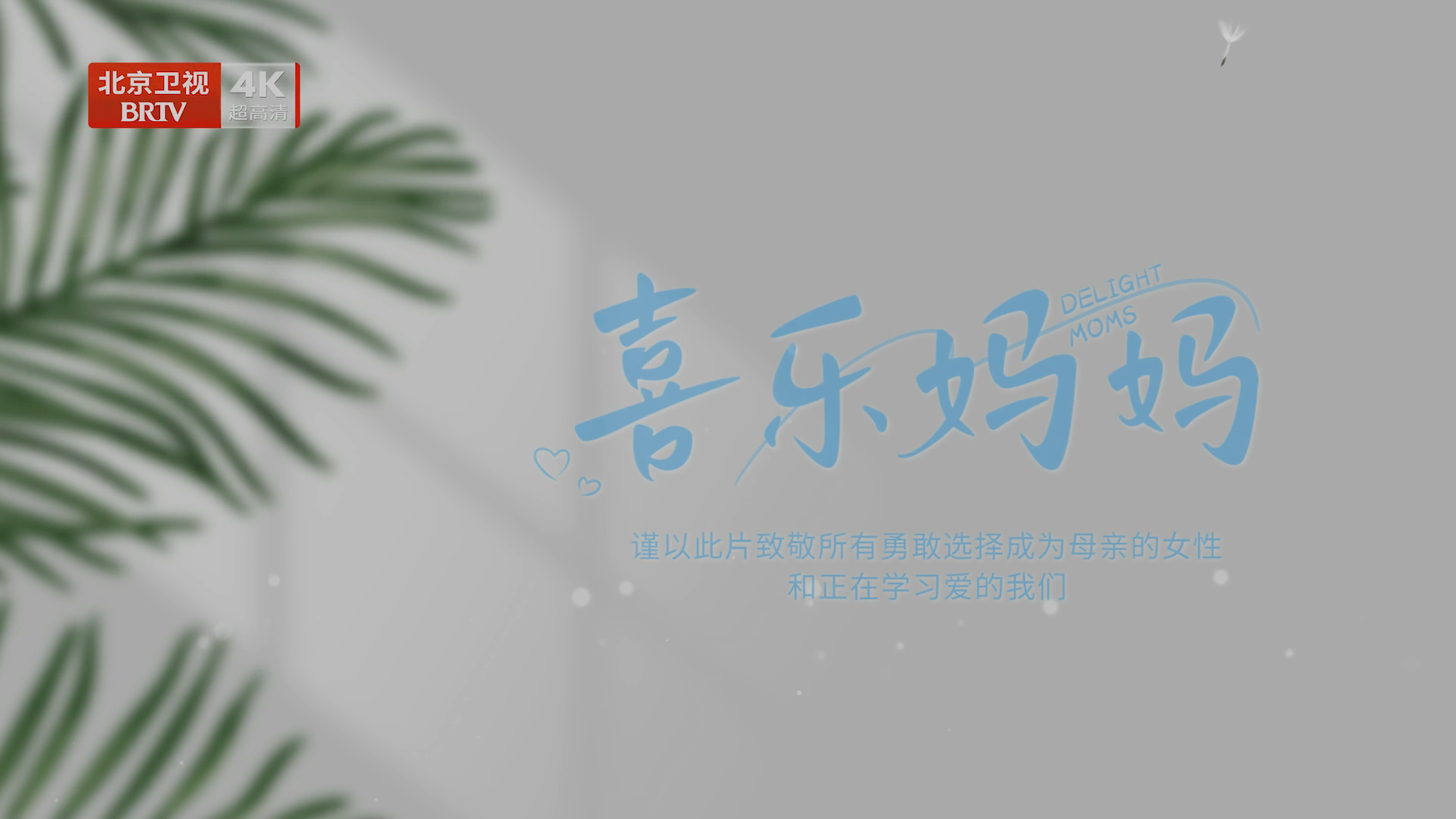 纪录片《喜乐妈妈》第二集：“爱在联结时”