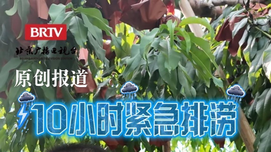 10小时紧急排涝！直击平谷“大桃保卫战”