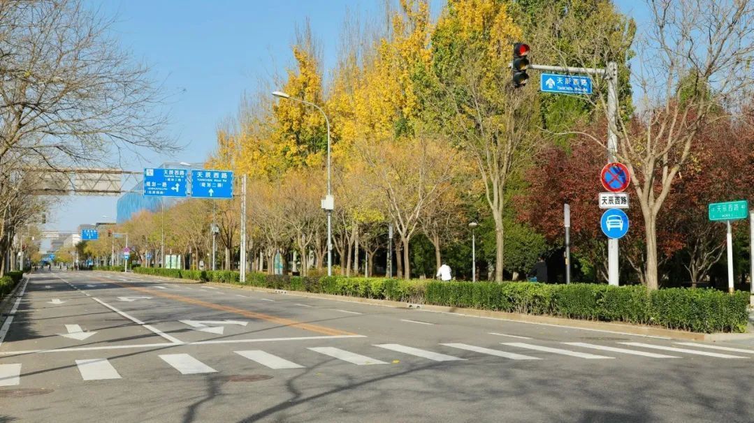 打卡鸟巢、水立方更方便！北京奥林匹克中心区南园这5条道路开放通行