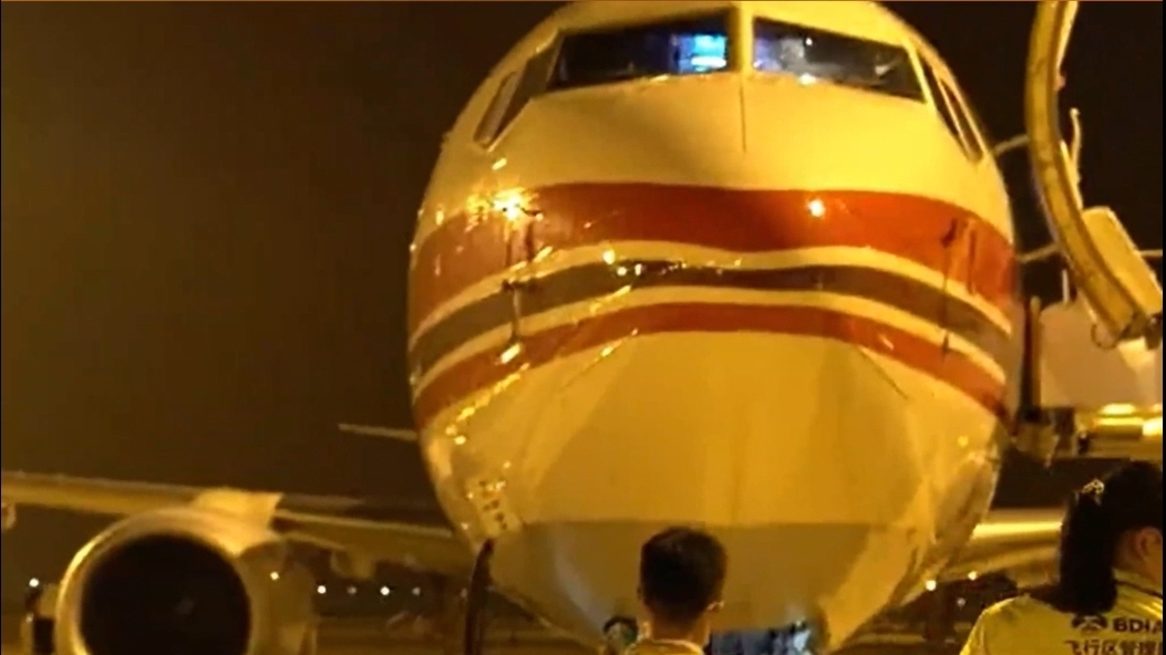 小鸟撞机威力有多大？职业鸟防人：威力如同一枚大炮弹！