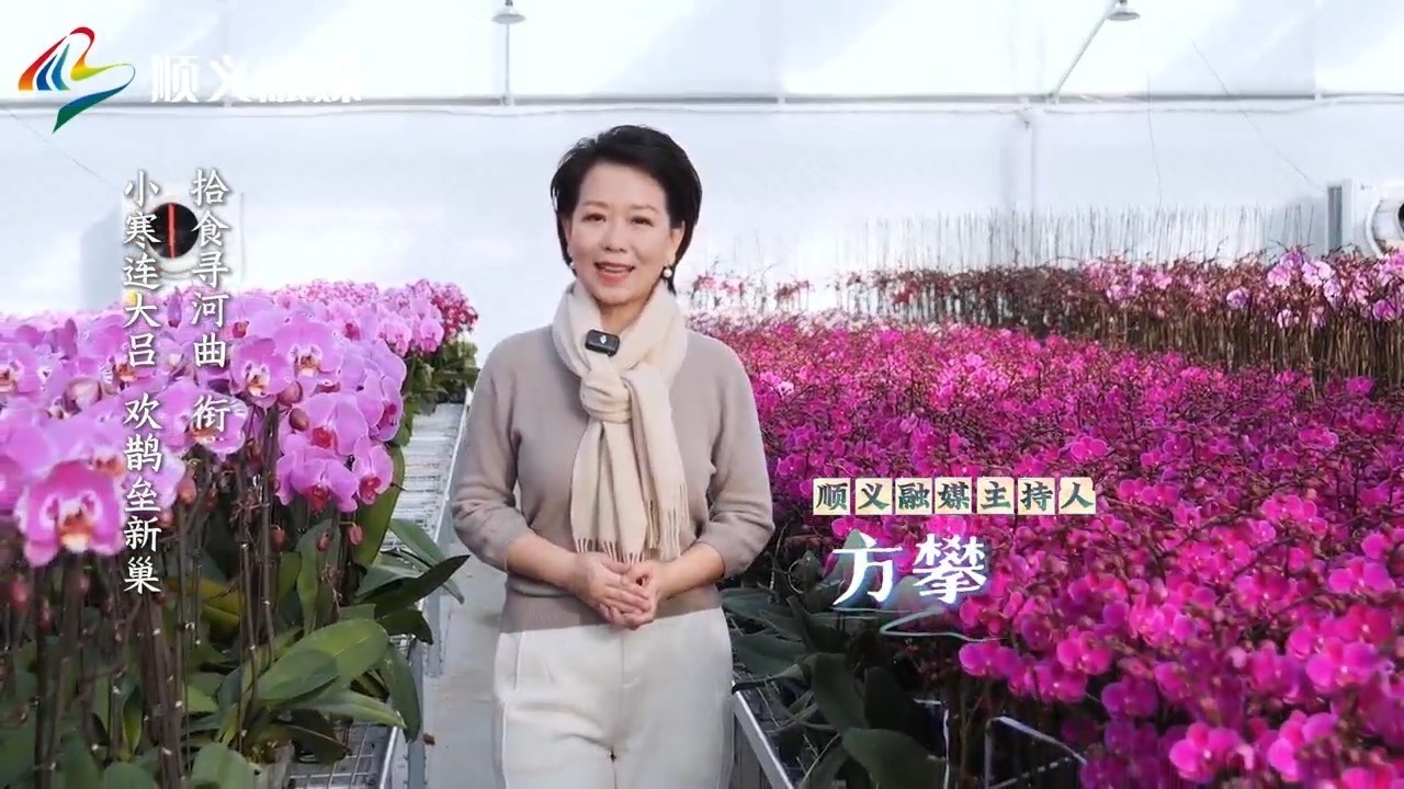 2026年的第一个节气，让我们去书写属于自己的闪闪发光的明天