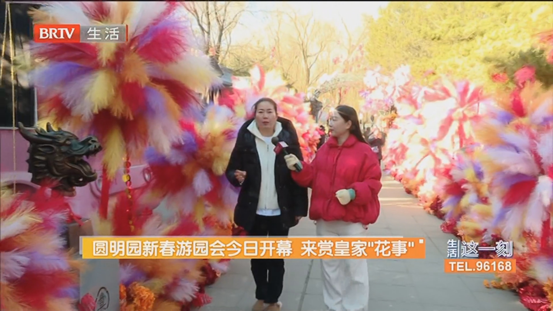 圆明园新春游园会今日开幕 来赏皇家“花事”