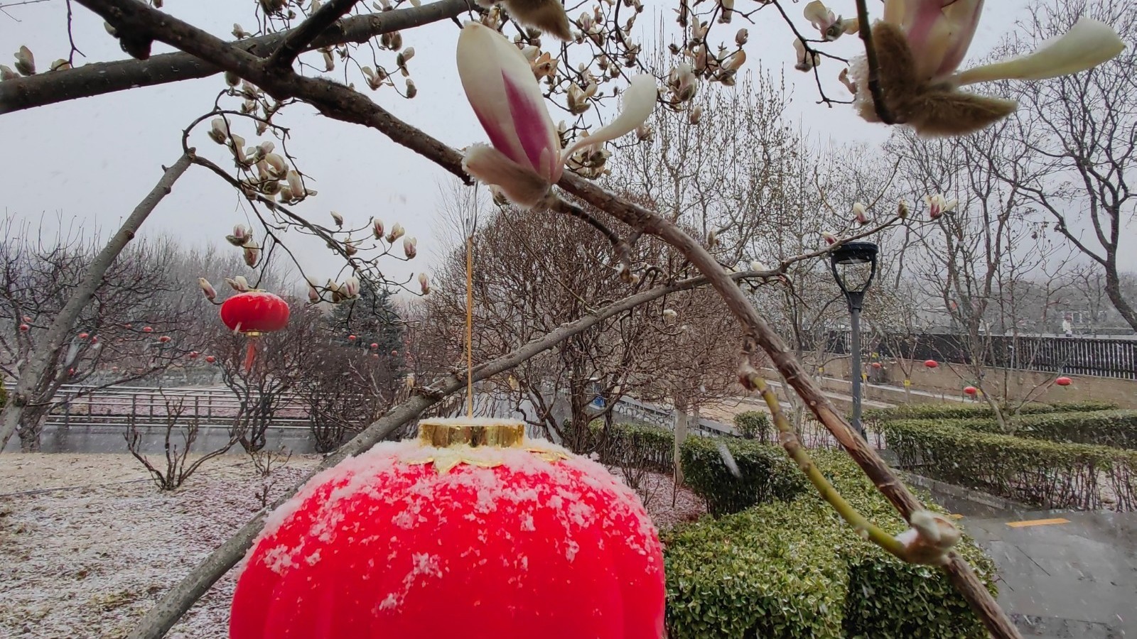 石景山区 | 雪落京城，美景如画