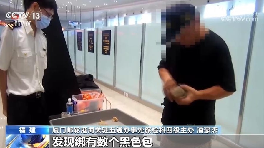 旅客大腿上绑12只濒危活体龟,出境被海关查获! 旅客大腿上绑12只濒危活体龟,出境被海关查获!