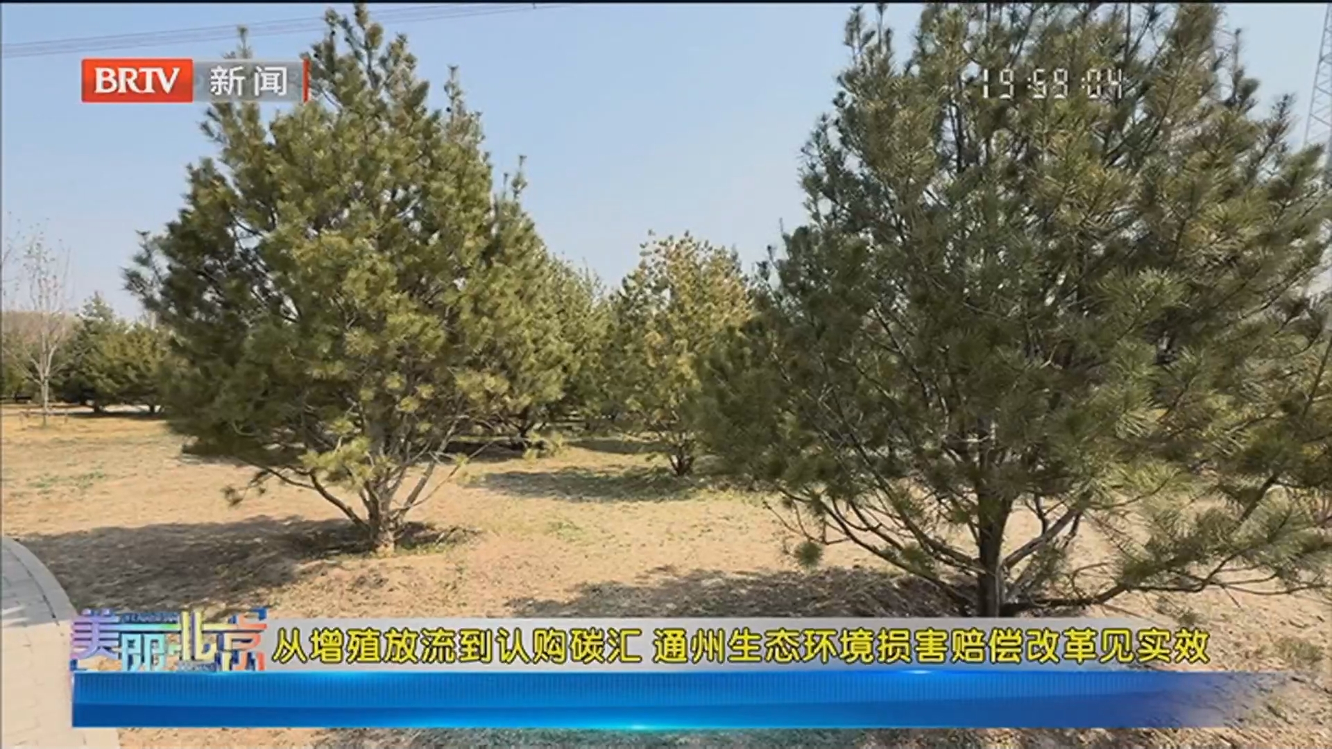 《美丽北京》20260514从增殖放流到认购碳汇 通州生态环境损害赔偿改革见实效
