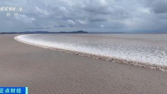 有机会看到“双潮叠加”！今年钱塘观潮不用等到八月十八