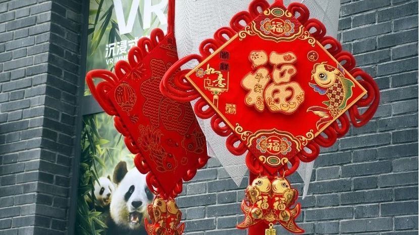 年货寄递折射消费活力 年货寄递折射消费活力