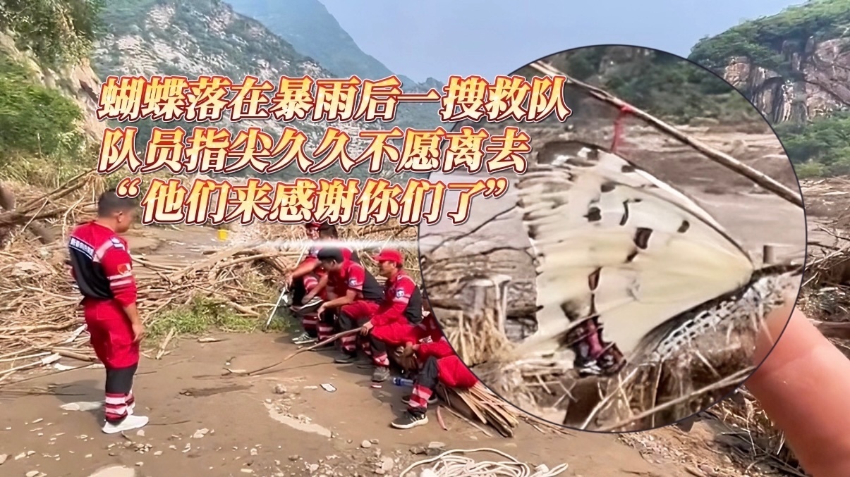 “他们来感谢你们了”  蝴蝶落在暴雨后一搜救队队员指尖久久不离去