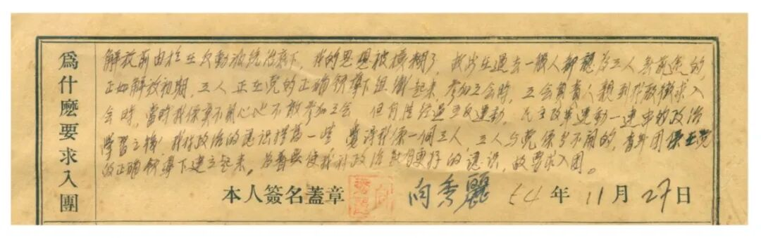 【遇见文物】向秀丽的入团志愿书_北京时间
