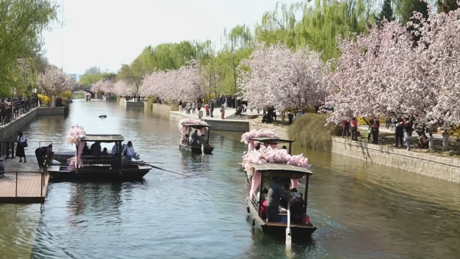 花开北京 生态和谐 首都彰显花园城市生态魅力