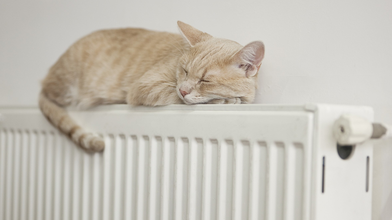 北京热力应对降温提前蓄热，96069热线接听率不低于99%