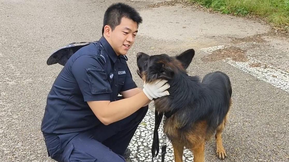 抽签选“战友” !人犬共训一年后,将共同投身警营 抽签选“战友” !人犬共训一年后,将共同投身警营