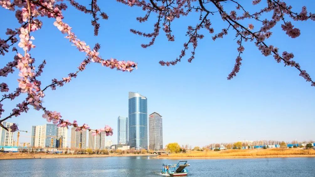 快来参加！第七届“大运河春花儿”即时创意影像大赛活动开始啦！