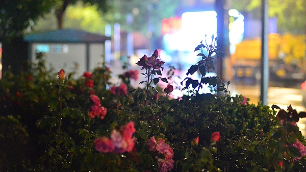 雷雨云团已明显减弱,北京市解除雷电黄色预警 雷雨云团已明显减弱,北京市解除雷电黄色预警