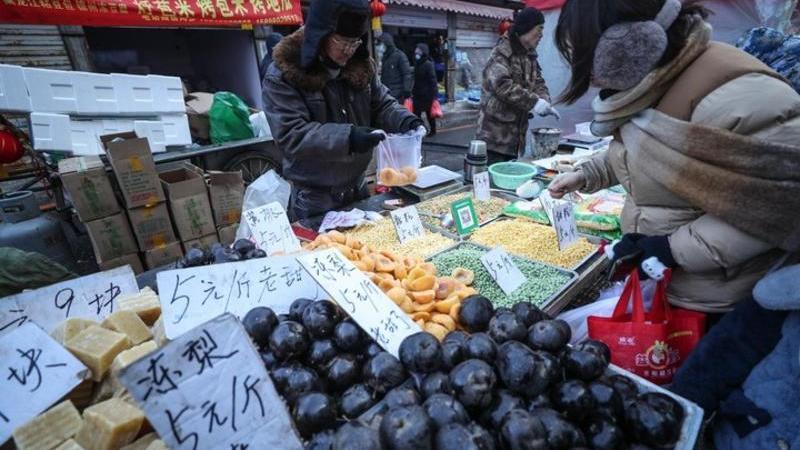 周末到东北 | 逛“冻物乐园”,感受浓浓烟火味 周末到东北 | 逛“冻物乐园”,感受浓浓烟火味