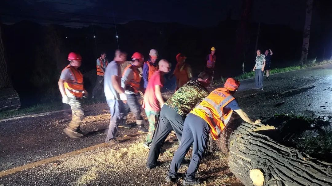 北京一地强风致78棵大树倒伏,交通阻断!最新进展—— 北京一地强风致78棵大树倒伏,交通阻断!最新进展——