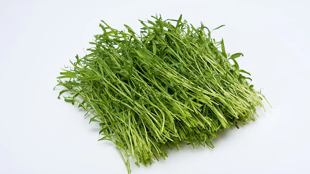 它是“超级生命力食材”,现在正当季,再不吃就晚了 它是“超级生命力食材”,现在正当季,再不吃就晚了