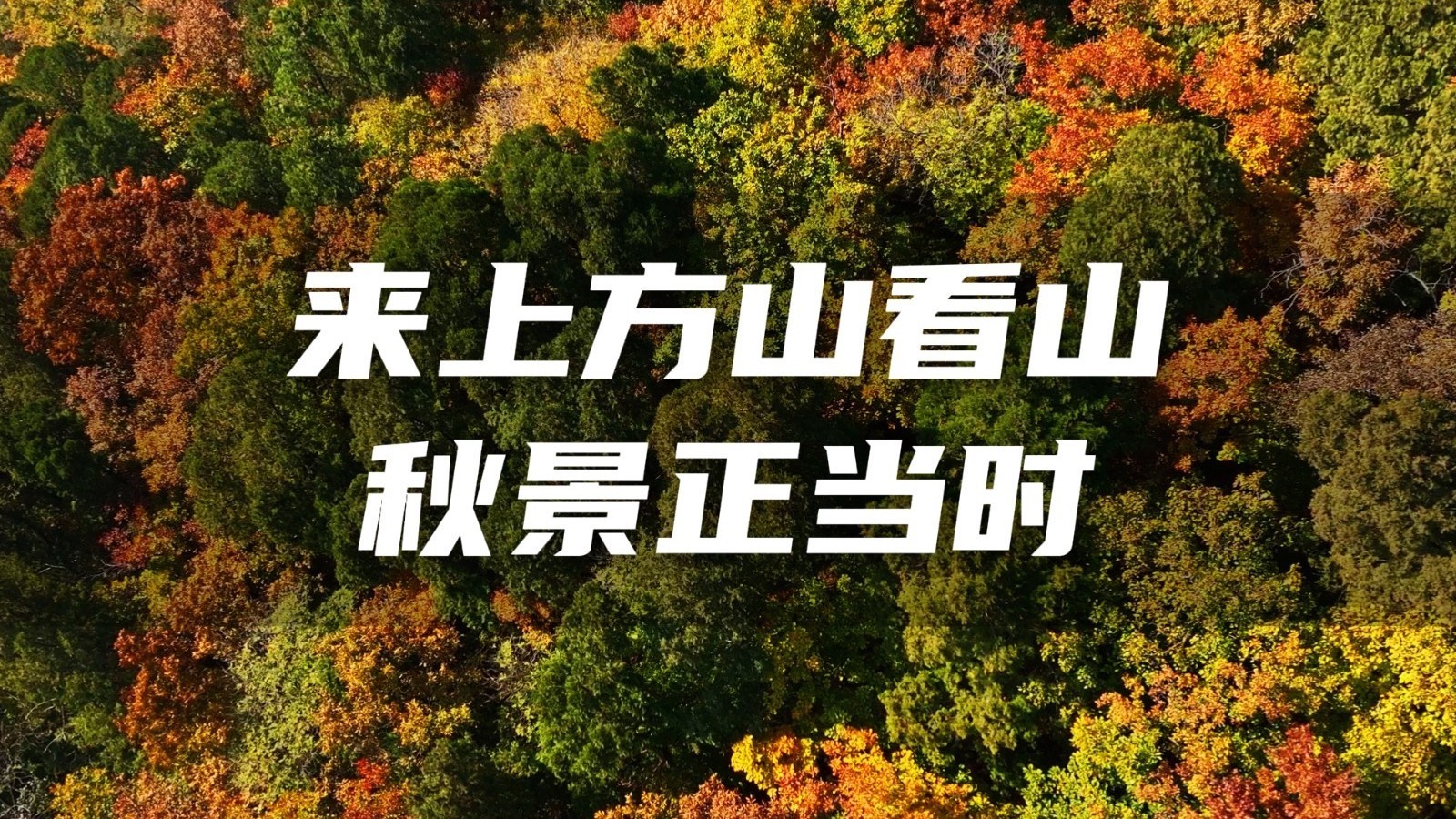 上方山秋色即将迎来最佳赏味期，秋天跟朋友一起到房山上方山~