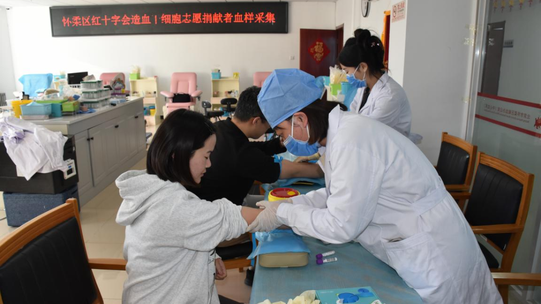 汇聚生命火种，怀柔区红十字会开展造血干细胞志愿捐献采集活动