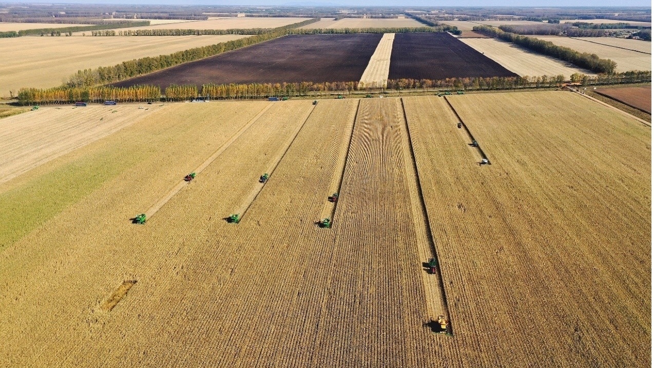 全国秋粮收获进入高峰期,现代化农机助力稳产增效 全国秋粮收获进入高峰期,现代化农机助力稳产增效