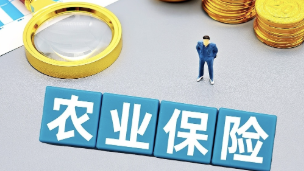 一季度农业保险为农户提供风险保障1.57万亿元
