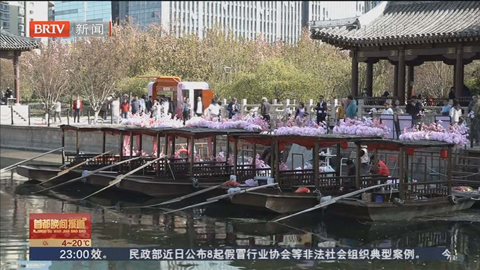 “海棠花溪”游船明日再起航 鲜花规模较往年翻一倍