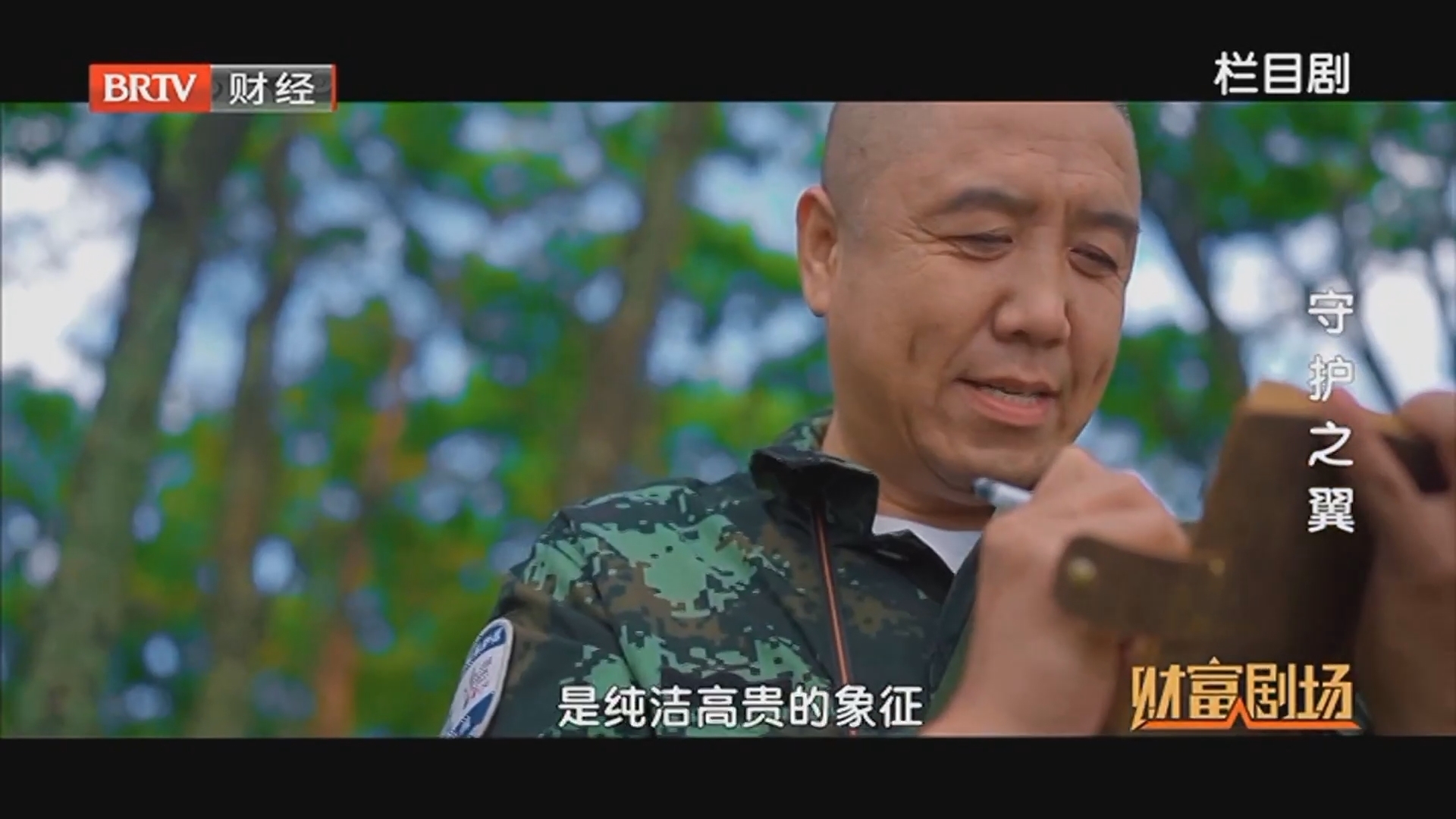 《财富剧场》20250706守护之翼
