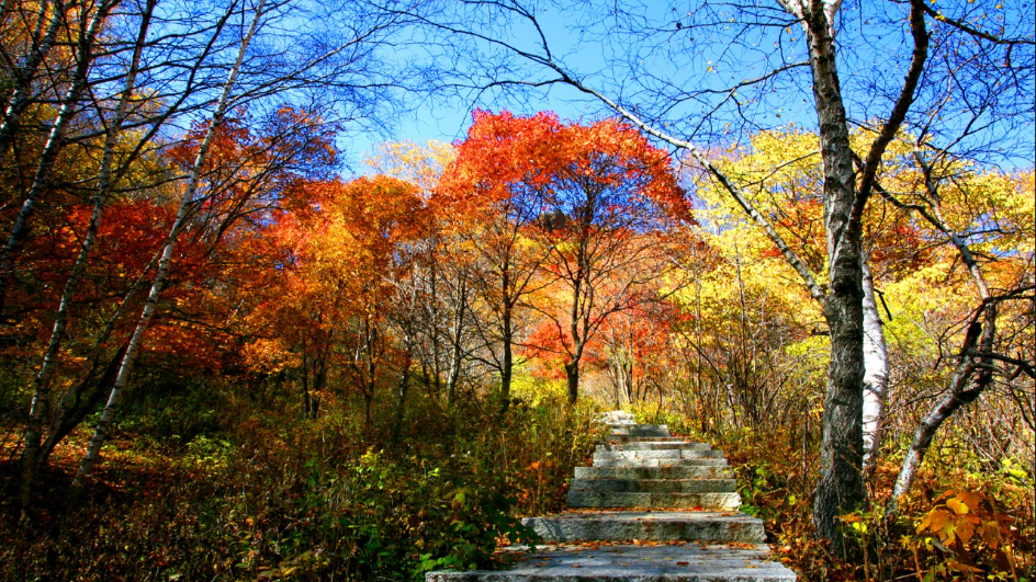 法定假期耗尽周末走起,北京向北200公里奔赴金色诗和远方~ 法定假期耗尽周末走起,北京向北200公里奔赴金色诗和远方~