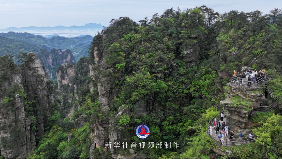 生态中国丨漫游张家界国家森林公园