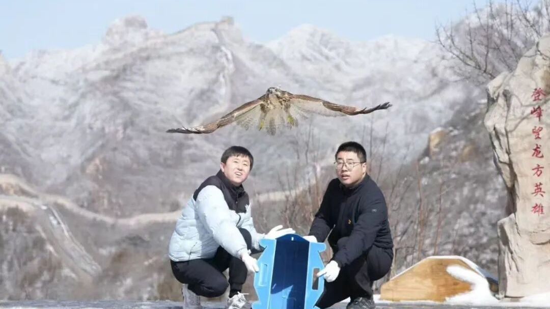 春日归林！10只国家重点保护野生动物“组团”回家啦~