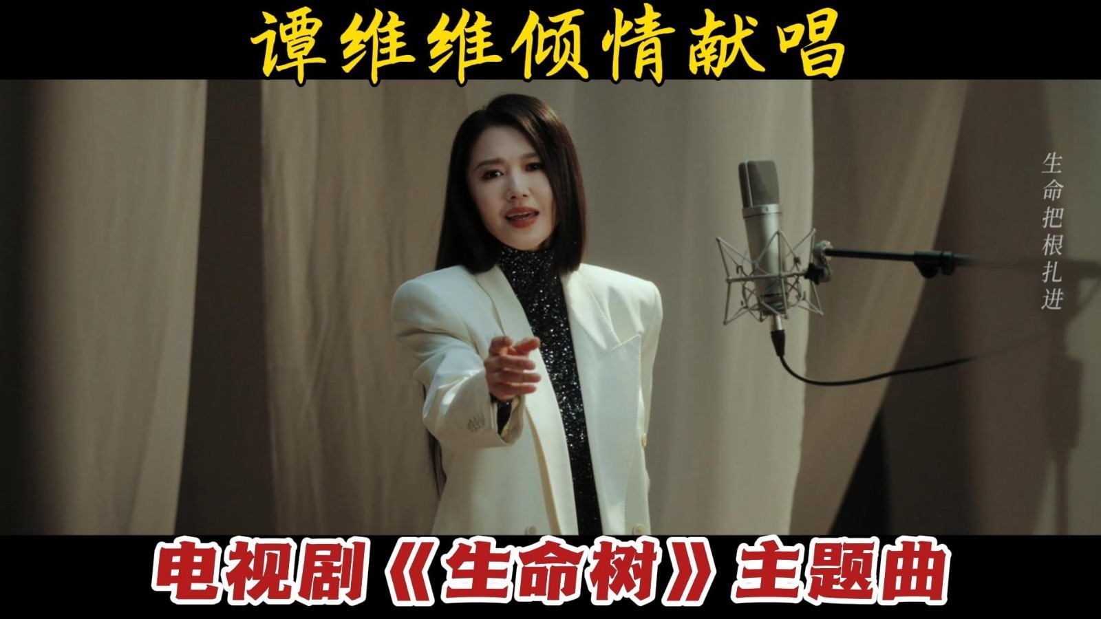 谭维维倾情献唱 电视剧《生命树》主题曲 谭维维倾情献唱 电视剧《生命树》主题曲