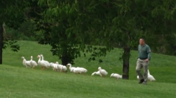 北京野生动物园开启“五一”自驾节 2000余只野生动物创史上最多 北京野生动物园开启“五一”自驾节 2000余只野生动物创史上最多