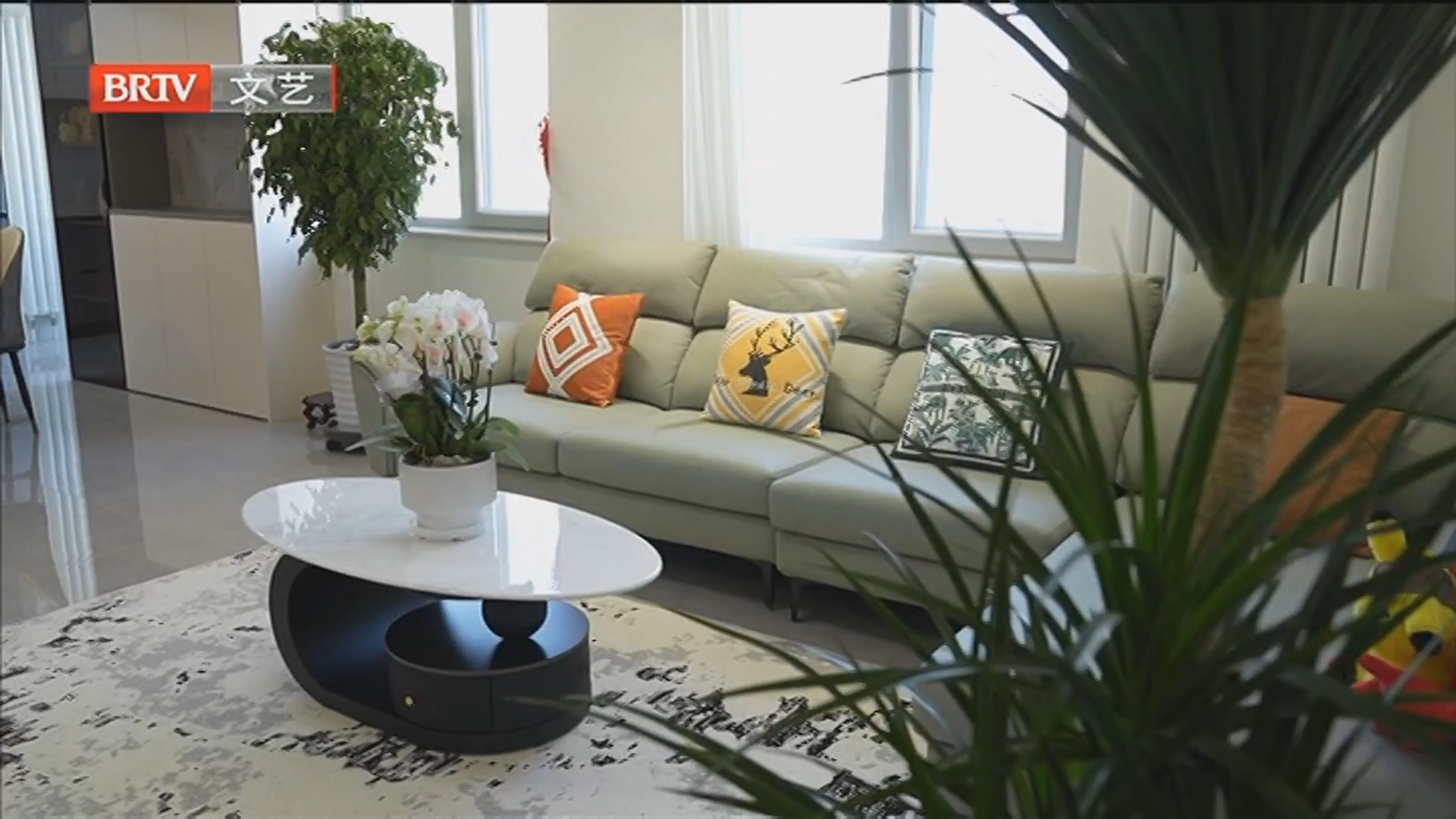 《居家卫士》20260202