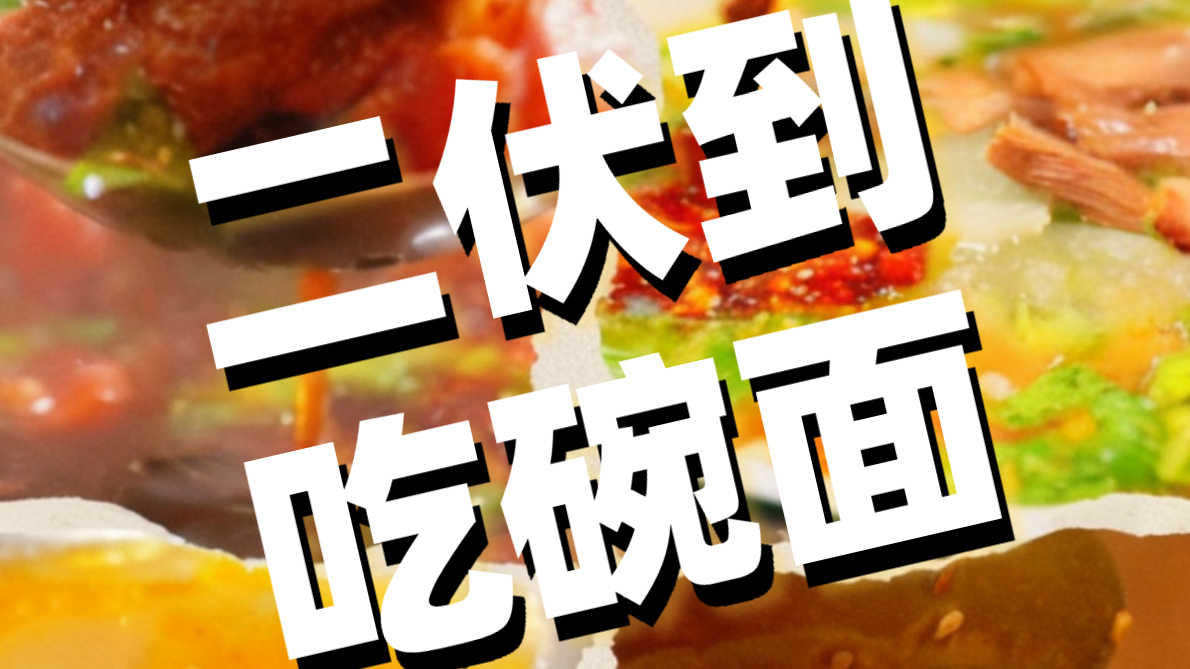二伏到，吃碗面，您更爱哪一款？