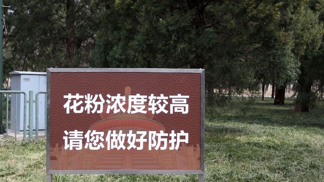 原创 | 专家解惑  关于花粉过敏的6个认知误区