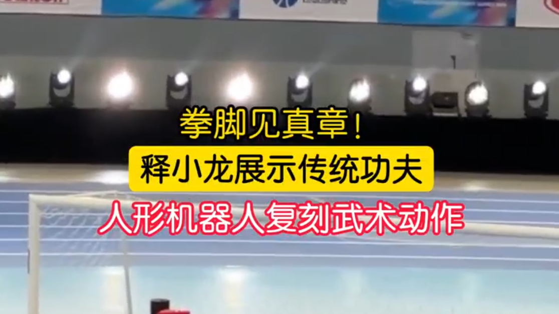 拳脚见真章！释小龙演绎传统功夫力量，机器人一招一式完美复刻